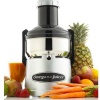 Omega BMJ330 Commercial 350-Watt Stainless-Steel Pulp-Ejection Juicer