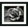 Rose and Driftwood, San Francisco, California by Ansel Adams, Framed Print Art - 17.44 x 20.19