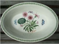 Portmeirion Botanic Garden Large Deep Oval Baker