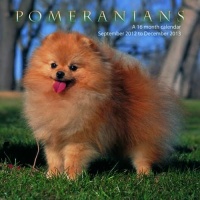 Pomeranians 2013 Wall Calendar #MGDOG38