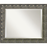 Barcelona Medium Mirror in Champagne and Pewter