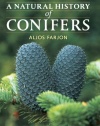 A Natural History of Conifers