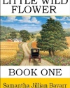 Little Wild Flower, Book 1 (Little Wild Flower, An Amish Christian Romance)