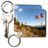 Mariposa lily flower, Santa Monica Mountains, CA - US05 RSP0035 - Rob Sheppard - Set Of 4 Key Chains