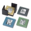 Sarah Peyton Multi-Color Glass Photo Coasters, with Storage Rack