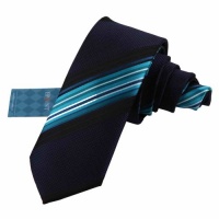 Blue Narrow Tie for Men Youth Green Stripes Skinny Tie Matching Present Box Set By Epoint EAE1008