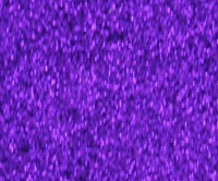 Zink Color Multi Purpose Glitter Brilliance Pro Purple