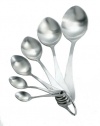 BlissHome Nigella Lawson's Living Kitchen Measuring Spoons, Brushed Metal, Set of 6