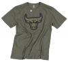 Chicago Bulls NBA Mens Cotton T-shirt, Army Green