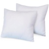 Nature's Rest Euro Square Pillows, 2-Pack