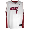 NBA Miami Heat LeBron James Home Replica Jersey Youth