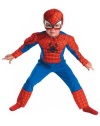 Toddler Spider-Man Muscle Costume Boy's Size: Large (4-6)