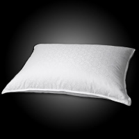 Blue Ridge Home 500 Thread Count Medallion White Down Pillow 122379 Jumbo