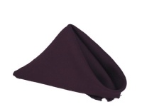 17 in. Polyester Napkins (1dz) Eggplant