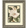 Afternoon Magnolia by Waltraud Fuchs Von Schwarzbek, Framed Print Art - 11.91 x 9.91