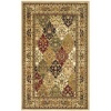 Safavieh Lyndhurst Collection LNH221C Area Rug, 8-Feet by 11-Feet, Multicolor