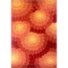 Momeni New Wave NEWWANW-69ORG2030 Orange Rug