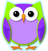 Colorful Owl Notepad