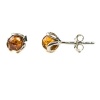 Sterling Silver Honey Amber Stud Earrings