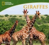 National Geographic Giraffes