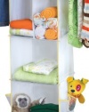 DEX Products Closet Cubby