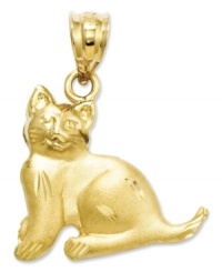 Keep your furry feline friend close to you always. This cat charm is intricately etched in 14k gold. Chain not included. Approximate drop length: 9/10 inch. Approximate drop width: 7/10 inch.