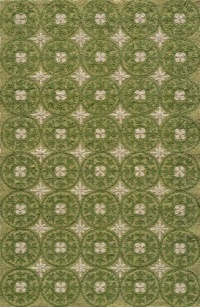 Area Rug 5x8 Rectangle Transitional Grass Color - Momeni Veranda Rug from RugPal