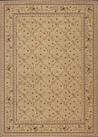 Nourison Ashton House Gold Transitional 7'9 x 10'10 Rug (AS08)