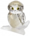 Swarovski Owl Medium