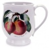 Portmeirion Pomona Tankard Bristol Mug Set of 6