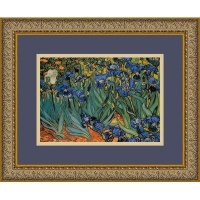 Les Irises (Irises) by Vincent Van Gogh, Framed Print Art - 12.87 x 15.62