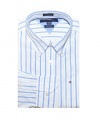 Tommy Hilfiger Men Custom Fit Striped Long Sleeve Logo Shirt