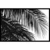 Palms 3 Framed Art Print by Jamie Kingham