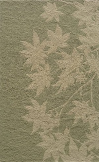 Area Rug 8x10 Rectangle Indoor/Outdoor Sage Color - Momeni Veranda Rug from RugPal