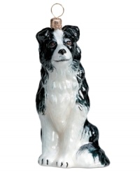 Just begging for a home, this border collie ornament has puppy dog eyes and a beautiful coat in hand-painted glass by Joy to the World.