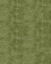 Momeni Luster Shag LS-01APG80A0 Apple Green Rug