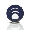 Mikasa Color Studio Blue and Platinum 5-Piece Placesetting