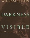 Darkness Visible: A Memoir of Madness