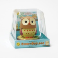 Two's Company Sunny Outlook Solar Powered Head Turning Owl in Gift Box