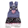 Dibalulu Pet Couture Dog Apparel - Blue Jean Suspender Toto Dog Dress - L