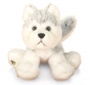 Webkinz 8.5 Webkinz Husky