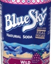 Blue Sky Raspberry,  12-Ounce Cans (Pack of 24)