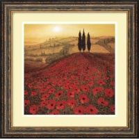 Poppy Field Framed Art Print by Steve Thoms, Image size: 11.75 x 11.75