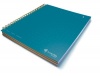 Livescribe 3-Subject Notebook  (Blue)