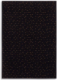 Karastan 14114 Woven Impressions Beaded Curtain Black Rug Rug Size: Runner 2'6 x 8'