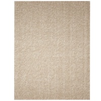 Jute Rug - 4' x 6' - Zatar Ribbed Loop Pile Natural Wool and Jute Area Rug in Ivory / Beige - AMB0308-0046