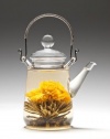 Tea Beyond Heat Resistant Glass Teapot Duo 16-Ounce