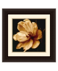 Sepia magnolia. A perfect bloom unfolds in Timeless Grace IV by Charles Britt. Floating on a dark ground, this floral portrait is a fresh perspective on the natural world. Display with the rest of the Timeless Grace series for dramatic effect. In dark espresso frame with raised lip