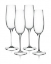 Luigi Bormioli Set of 4 Allegro 8-Oz. Champagne Flute Glasses