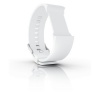 Sony Watchband for SmartWatch - White